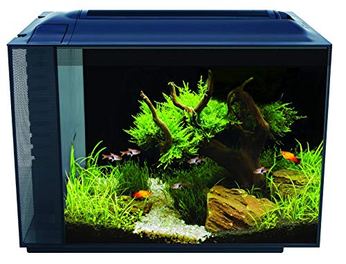 Fluval Spec XV Aquarium, mit 60L Fassungsvermögen, in schwarz, 1 Stück (1er Pack)