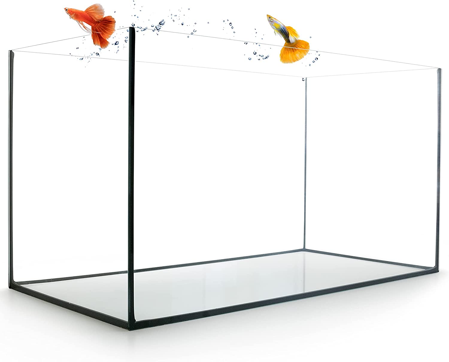 GarPet Aquarium aus Glas - Glasbecken für Süß- und Seewasser - hochwertiges Glas-Aquarium - Premium Fisch-Aquarium - Fisch-Becken 80 x 35 x 40 cm