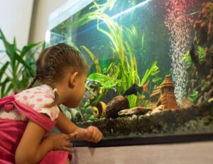 Ein Kind vor einem Aquarium