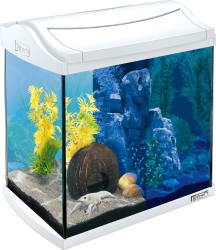 Tetra AquaArt LED Aquarium-Komplett-Set 30 Liter - inklusive LED-Beleuchtung, Tag- und Nachtlichtschaltung und EasyCrystal Innenfilter, ideal für Krebse und Garnelen, Farbe: Weiß