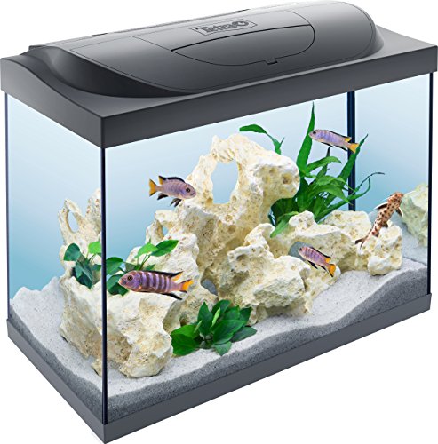 Tetra Starter Line 80 L Aquarium Komplett-Set mit LED-Beleuchtung - stabiles Einsteigerbecken mit Technik, Futter und Pflegemitteln, Farbe: Schwarz