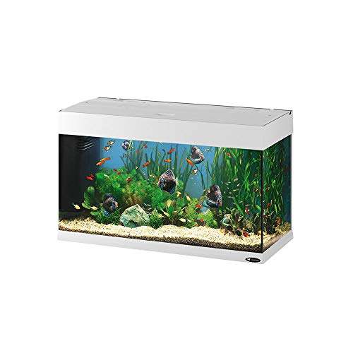 Ferplast 65034011 Aquarium, Maße: 81 x 36 x 51 cm, 125 L, weiß