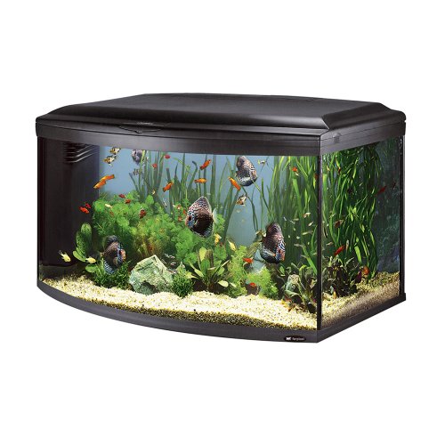 Preisvergleich aquarium - Alle Produkte unter der Vielzahl an analysierten Preisvergleich aquarium!