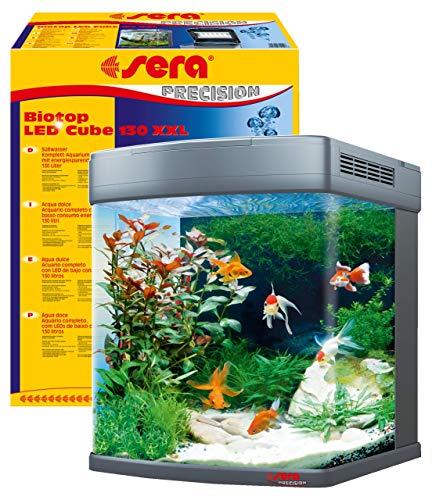Tetra aquarium 100l - Der Gewinner 
