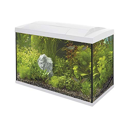 SuperFish SF Tropical Set 70 Aquarium weiß inkl. Filter, Heizer, Wasseraufbereiter, Kescher, Thermometer und Futter
