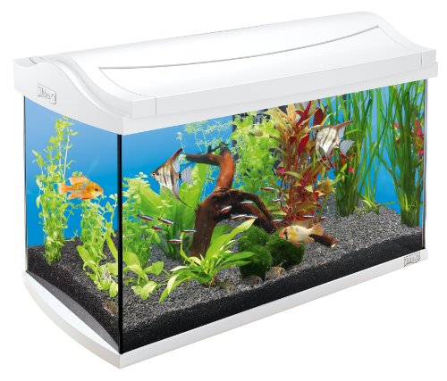Tetra AquaArt Discovery Line Aquarium-Komplett-Set 60L Weiß