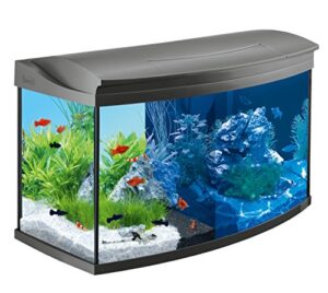 Tetra aquarium 100l - Vertrauen Sie dem Testsieger