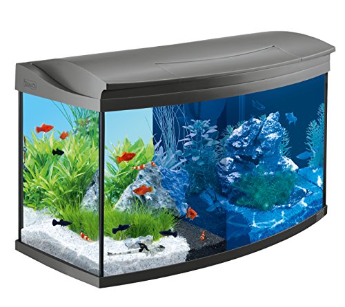 Tetra AquaArt Evolution Line LED Aquarium-Komplett-Set 100 L (inklusive LED-Beleuchtung, Tag- und Nachtlichtschaltung, EasyCrystal Innenfilter und Aquarienheizer) Farbe anthrazit