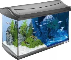 Tetra Aquarium