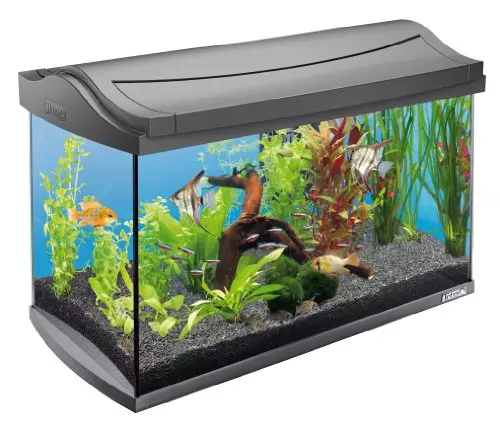 Tetra AquaArt Discovery Line Aquarium-Komplett-Set 60L Anthrazit