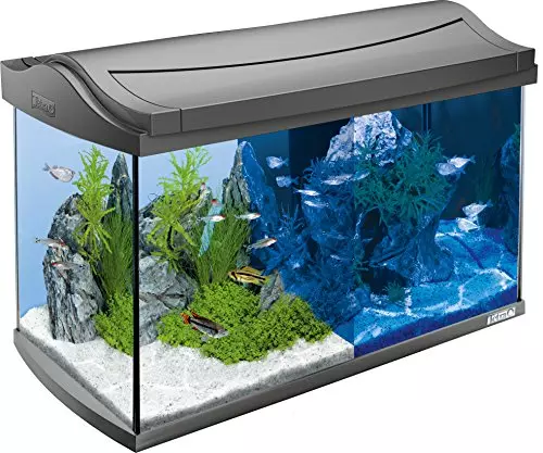Tetra AquaArt Discovery Line LED Aquarium-Komplett-Set (inklusive LED-Beleuchtung, Tag- und Nachtlichtschaltung, EasyCrystal Innenfilter und Aquarienheizer, ideal für Zierfische) 60 Liter anthrazit