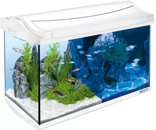 Tetra AquaArt LED Aquarium-Komplett-Set (inklusive LED-Beleuchtung, Tag- und Nachtlichtschaltung, EasyCrystal Innenfilter und Aquarienheizer, ideal für Zierfische) 60 Liter weiß