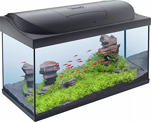 Tetra Regular Starter Line Aquarium-Komplettset mit LED-Beleuchtung stabiles 105 Liter Einsteigerbecken mit Technik, Regular Starterline, Futter und Pflegemitteln